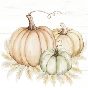 Салфетки PUMPKIN TRIO 33х33cm.