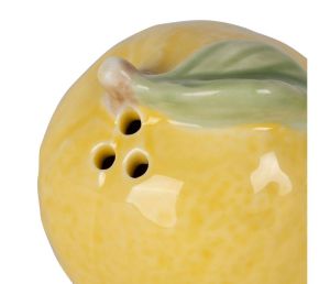 Сет сол и пипер LEMON AGRUMES 6x5xH5.5cm.