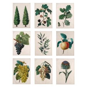 Кърпа Canovaccio Botanico 50x70cm.